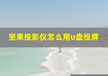 坚果投影仪怎么用u盘投屏