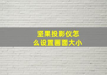 坚果投影仪怎么设置画面大小