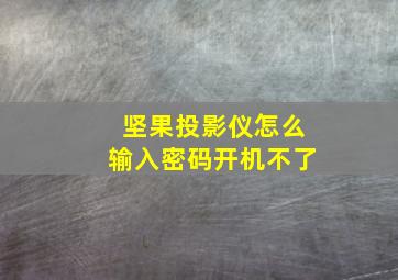 坚果投影仪怎么输入密码开机不了