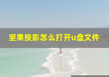 坚果投影怎么打开u盘文件