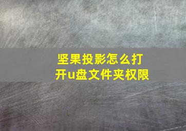 坚果投影怎么打开u盘文件夹权限