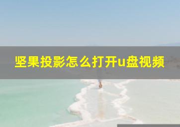 坚果投影怎么打开u盘视频