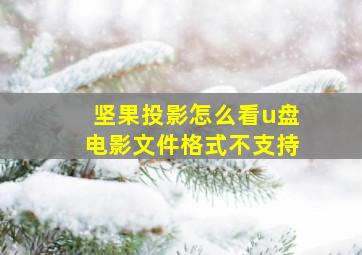 坚果投影怎么看u盘电影文件格式不支持