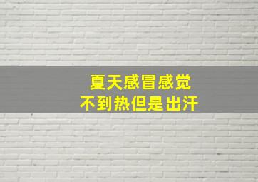 夏天感冒感觉不到热但是出汗