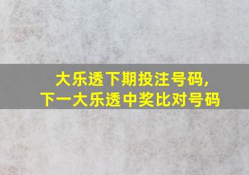 大乐透下期投注号码,下一大乐透中奖比对号码