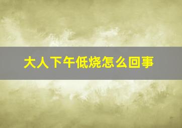 大人下午低烧怎么回事