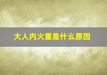 大人内火重是什么原因