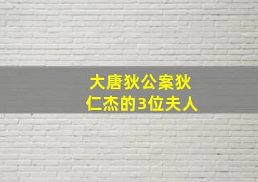 大唐狄公案狄仁杰的3位夫人