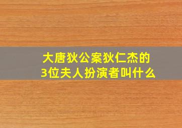 大唐狄公案狄仁杰的3位夫人扮演者叫什么