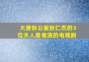 大唐狄公案狄仁杰的3位夫人是谁演的电视剧