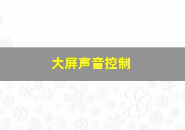 大屏声音控制