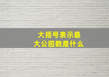 大括号表示最大公因数是什么