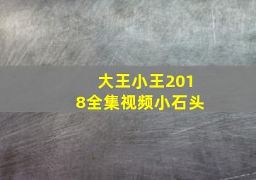 大王小王2018全集视频小石头