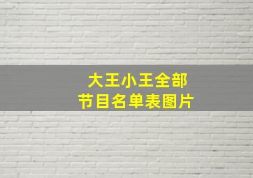 大王小王全部节目名单表图片