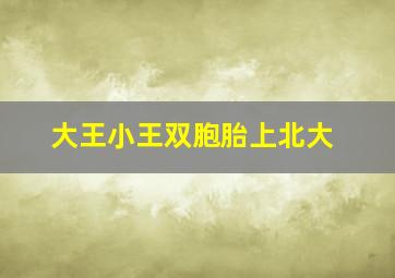 大王小王双胞胎上北大