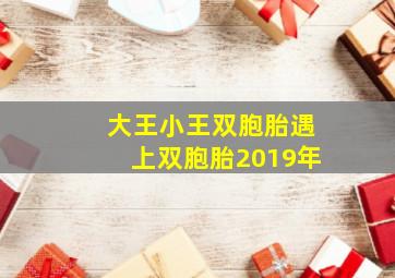 大王小王双胞胎遇上双胞胎2019年