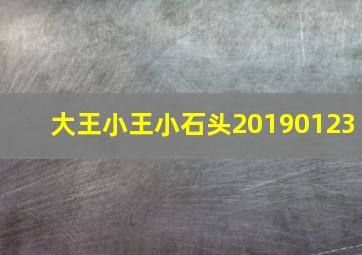 大王小王小石头20190123