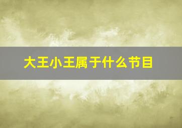 大王小王属于什么节目