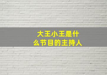 大王小王是什么节目的主持人