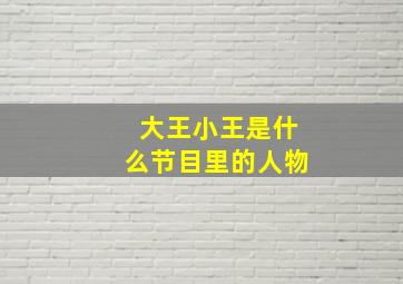 大王小王是什么节目里的人物