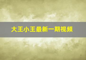 大王小王最新一期视频