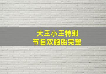 大王小王特别节目双胞胎完整