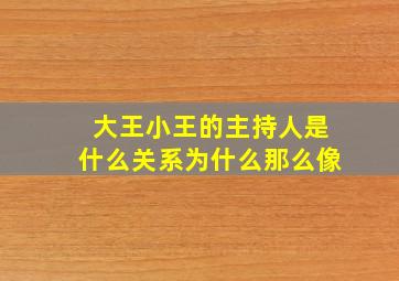 大王小王的主持人是什么关系为什么那么像