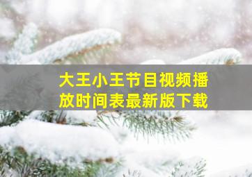 大王小王节目视频播放时间表最新版下载