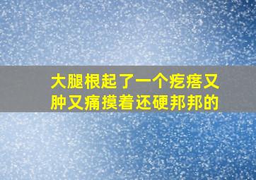 大腿根起了一个疙瘩又肿又痛摸着还硬邦邦的