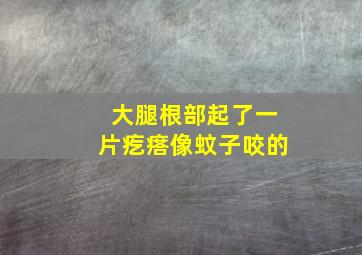 大腿根部起了一片疙瘩像蚊子咬的