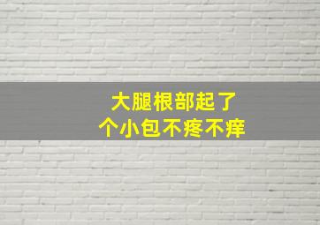 大腿根部起了个小包不疼不痒