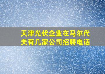 天津光伏企业在马尔代夫有几家公司招聘电话