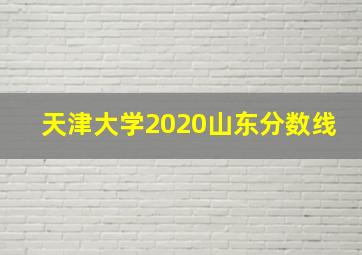 天津大学2020山东分数线