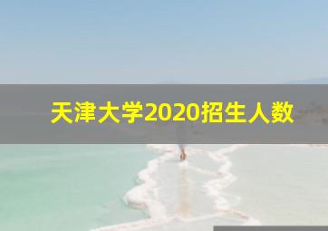 天津大学2020招生人数