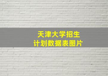 天津大学招生计划数据表图片