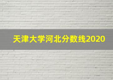 天津大学河北分数线2020