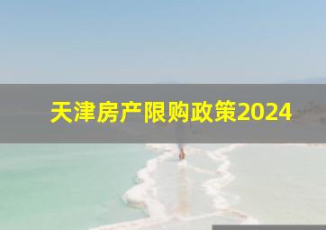 天津房产限购政策2024