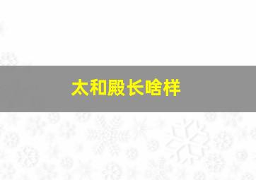 太和殿长啥样