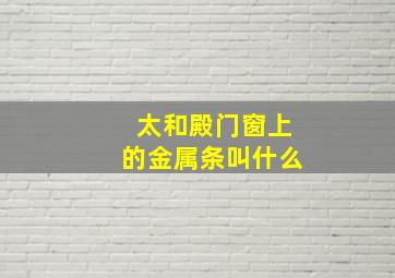 太和殿门窗上的金属条叫什么