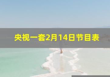 央视一套2月14日节目表