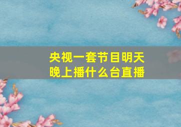 央视一套节目明天晚上播什么台直播