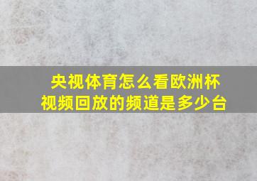 央视体育怎么看欧洲杯视频回放的频道是多少台