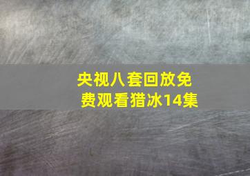 央视八套回放免费观看猎冰14集