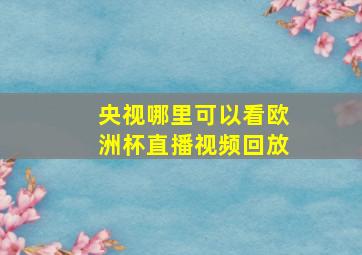 央视哪里可以看欧洲杯直播视频回放