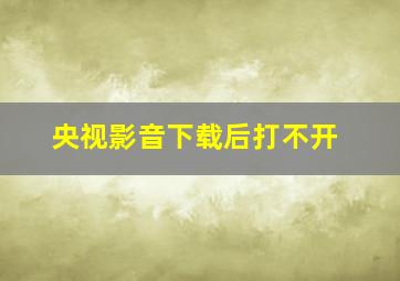 央视影音下载后打不开