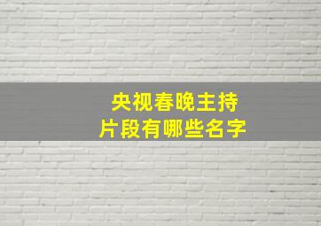 央视春晚主持片段有哪些名字