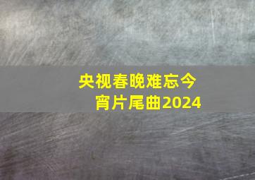 央视春晚难忘今宵片尾曲2024