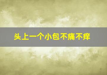 头上一个小包不痛不痒