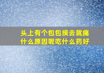 头上有个包包摸去就痛什么原因呢吃什么药好