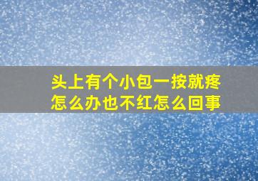 头上有个小包一按就疼怎么办也不红怎么回事